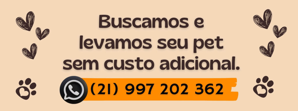 Banho e Tosa Nova Iguaçu, Banho e Tosa Puky, Banho e Tosa com Táxi Dog Grátis, Banho e Tosa pet Nova Iguaçu, Banho e Tosa WhatsApp 21 964 303 022, Banho e Tosa serviço completo, Táxi Dog Nova Iguaçu, Banho e Tosa limpeza pet