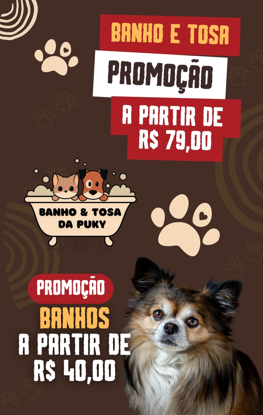 Banho e Tosa Nova Iguaçu, Banho e Tosa Puky, Banho e Tosa com Táxi Dog Grátis, Banho e Tosa pet Nova Iguaçu, Banho e Tosa WhatsApp 21 964 303 022, Banho e Tosa serviço completo, Táxi Dog Nova Iguaçu, Banho e Tosa limpeza pet